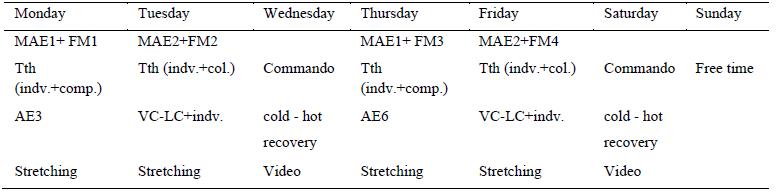 Table 1. Micro cycles related to one-week centralized training session 